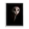 Stupell Industries Intense Barn Owl Black Shadow Photography Framed Giclee Art